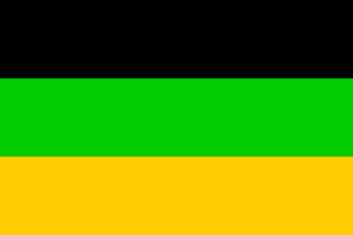 [Popular Flag of ANC]